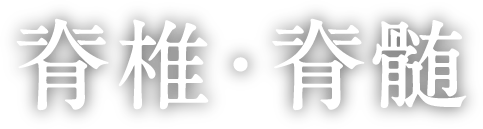 脊椎・脊髄