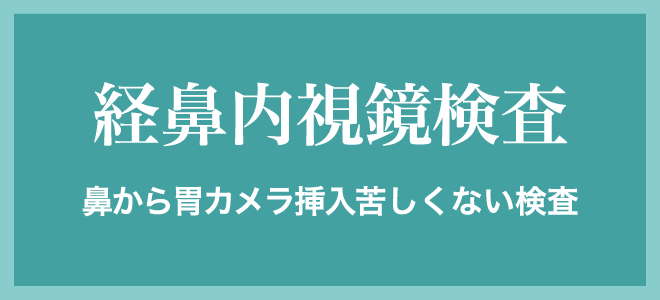 経鼻内視鏡検査 鼻から胃カメラ挿入苦しくない検査