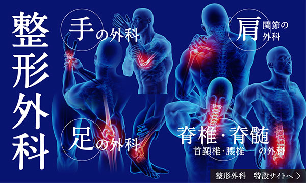 整形外科 手の外科 足の外科 方関節の外科 脊椎・脊髄 首頚椎・腰椎の外科