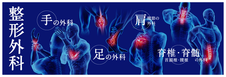 整形外科 手の外科 足の外科 方関節の外科 脊椎・脊髄 首頚椎・腰椎の外科